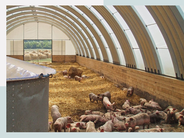 Строительство свинарников в Валуйках