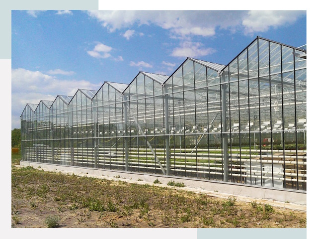 Строительство теплиц в Валуйки от 639 руб. за м²