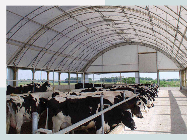 Тентовые коровники в Валуйках